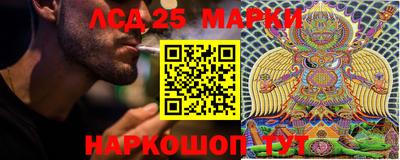 ПСИЛОЦИБИНОВЫЕ ГРИБЫ Свободный