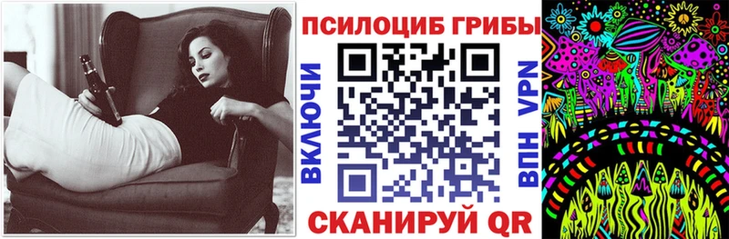 цена   hydra ссылки  Псилоцибиновые грибы прущие грибы  Курск 