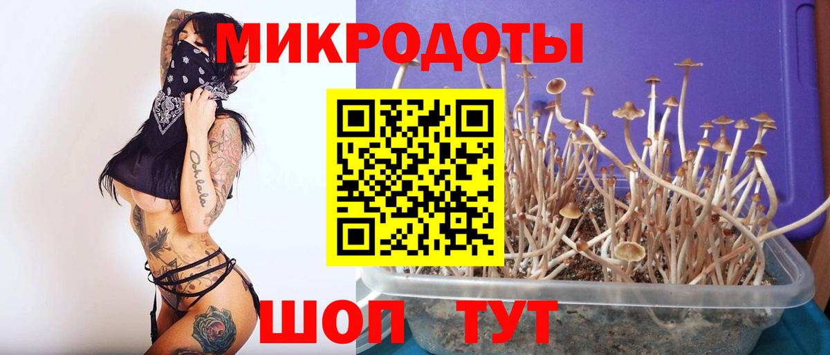 Галлюциногенные грибы GOLDEN TEACHER Курск