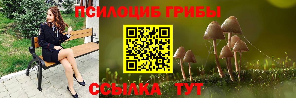 Курск  Псилоцибиновые грибы мицелий  Вход с VPN 
